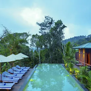 Niraamaya Retreats Cardamom Club Thekkady
